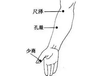 按揉肺经的尺泽,加上肾经的复溜,相当于麦味地黄丸.