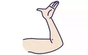 怎么拥有好看的手臂线条 2a06825f07454f0f8d7fc00c32bb1c64.jpeg