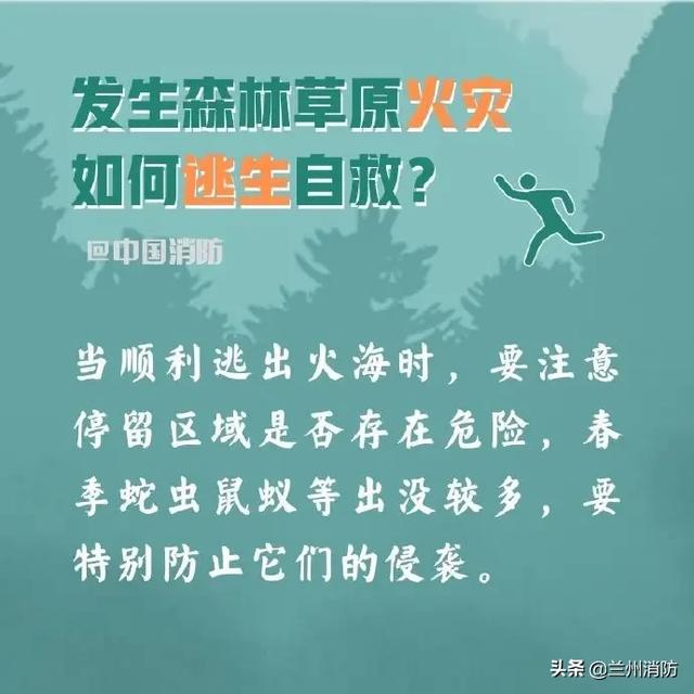 发生森林火灾怎么办