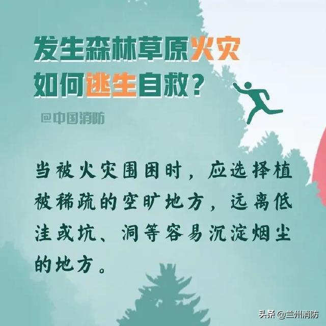 发生森林火灾怎么办