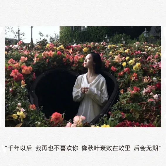 千年以后 我再也不喜欢你 像秋叶衰败在故里 后会无期