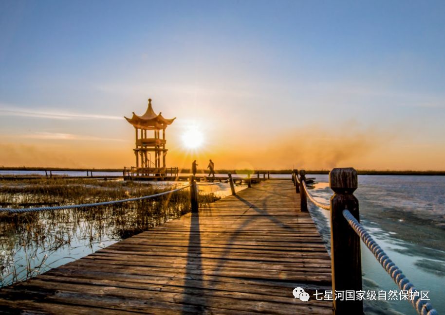 宝清有景名曰七星河湿地,从春到冬,美不胜收!