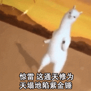 434b1de4b65d4e68bd283a3b175f9d96.gif