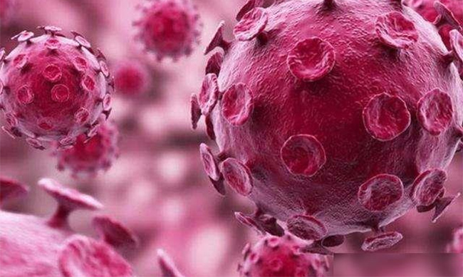 最近是不是有新冠病毒感染 481f3b79095c431b8309436effd3eb2d.jpeg