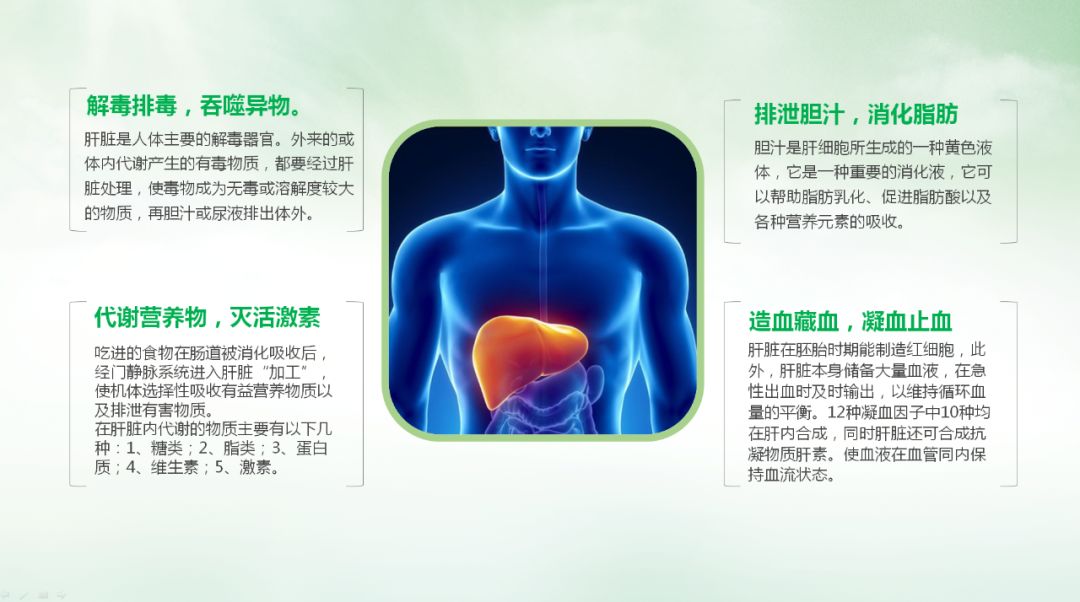 春季养肝你的肝胆排毒了吗