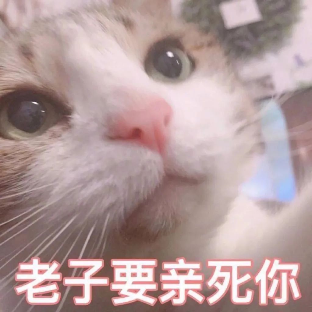 一组猛男必备表情包送给大家!