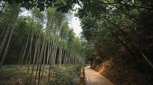 苏轼人生态度形成原因 60485d9480a74ea4bcaa3224a0aa1c49.jpeg