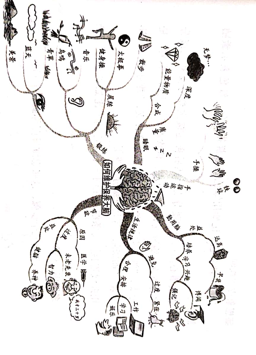手绘思维导图的学习技巧