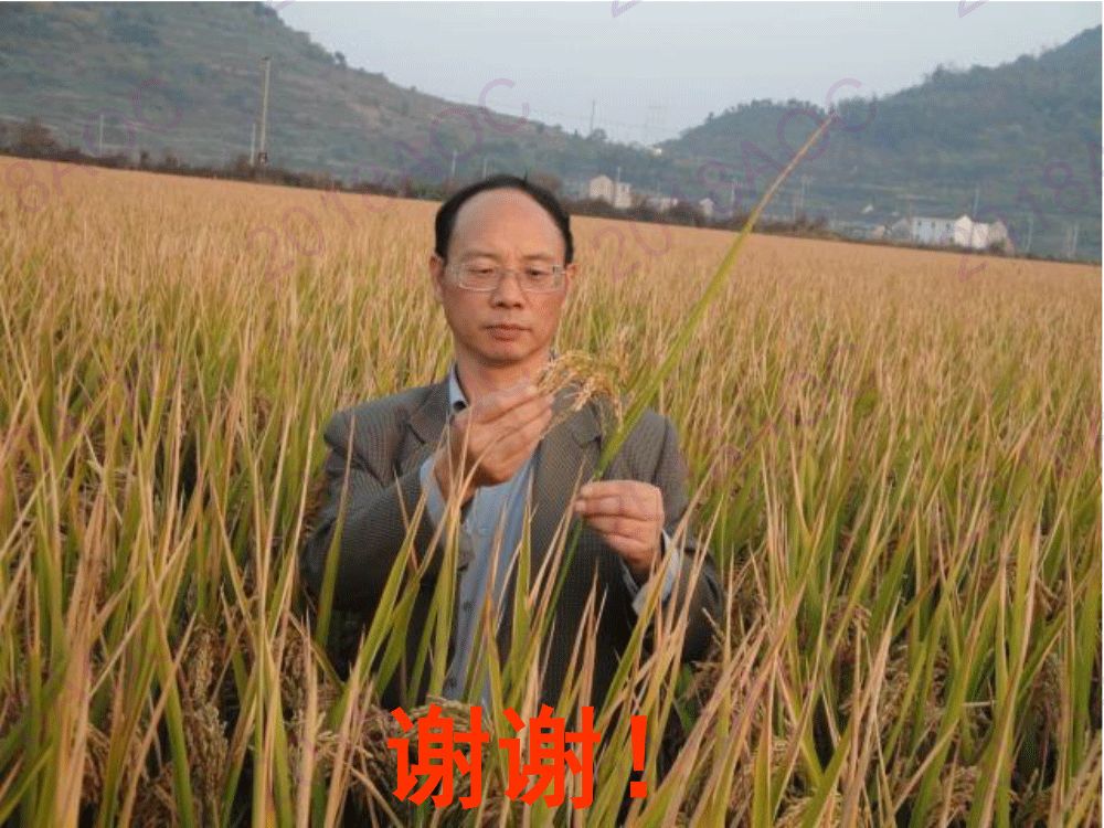 程式华:中国水稻产业发展现状与展望