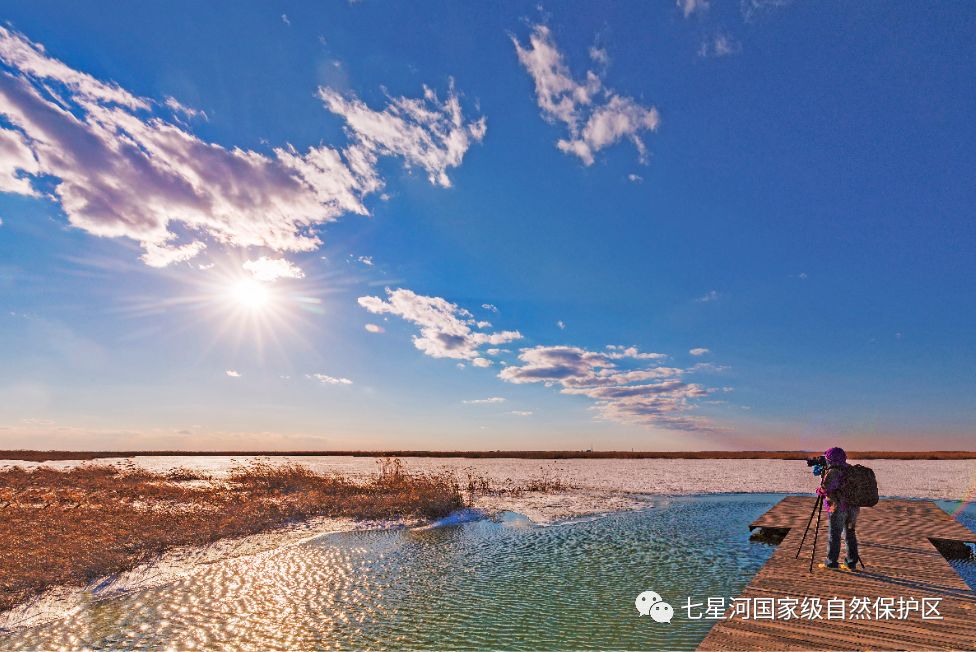 宝清有景名曰七星河湿地,从春到冬,美不胜收!