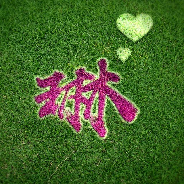 你有多久没有换微信头像了,十多款精选特效3d微信头像