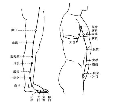 足太阴脾经心肾不交(1)双手交替拍打两侧手厥阴心包经,从上到下,反复