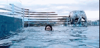 搞笑GIF趣图：我还真以为你在游泳呢？谁知道你在水下运动！_礼品