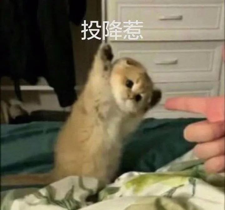 一组猛男必备表情包送给大家!