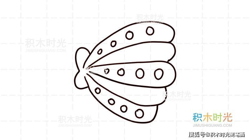物简笔画图片大全,画贝壳简笔画,线稿和上色大全