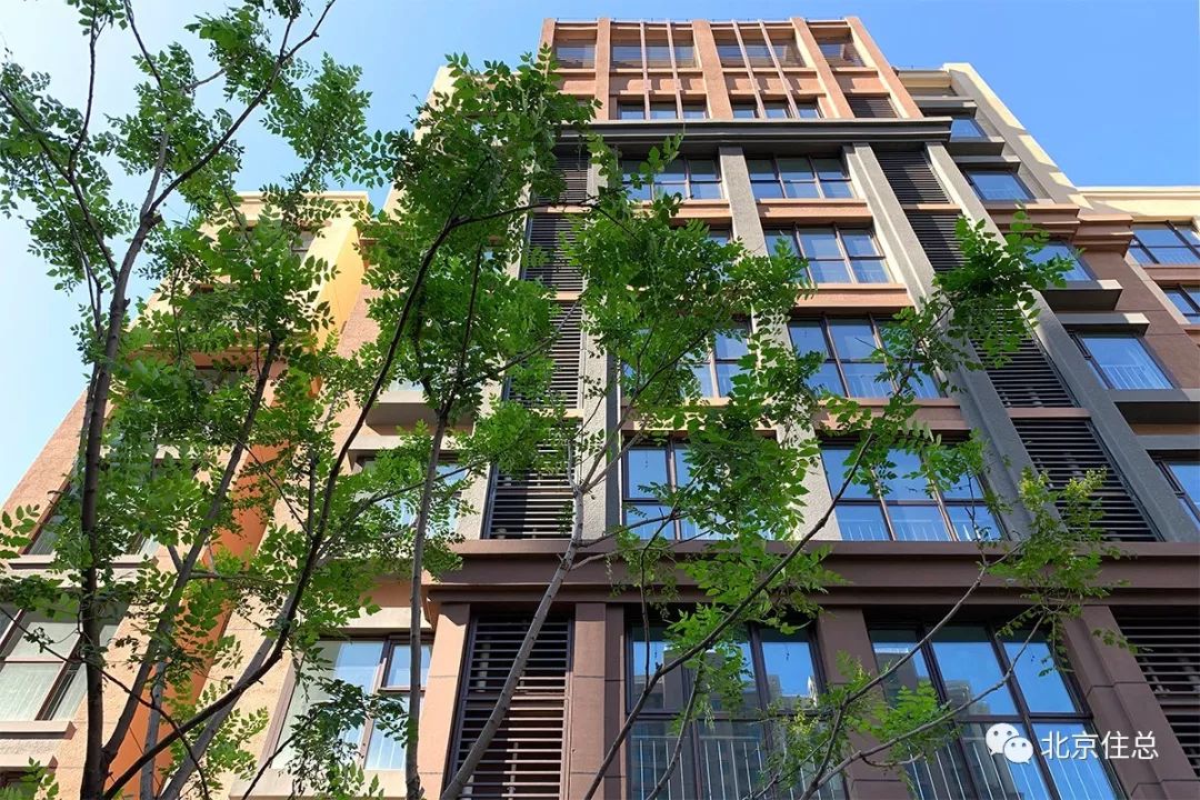 2020年呼市和古月胡_记住胡师傅的恩情孩子取名张古月