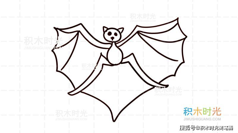 物简笔画图片大全,画蝙蝠简笔画,线稿和上色大全