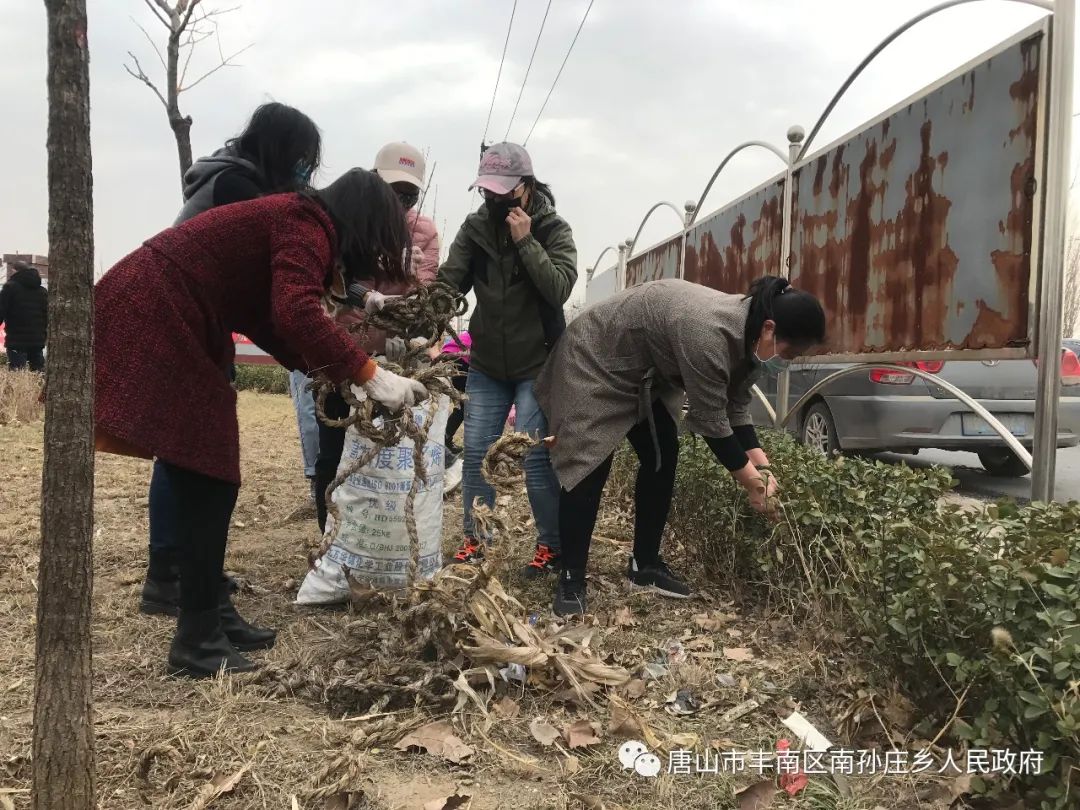 丰南区南孙庄乡|开展"爱国卫生周末大扫除"活动,全乡齐"动"手