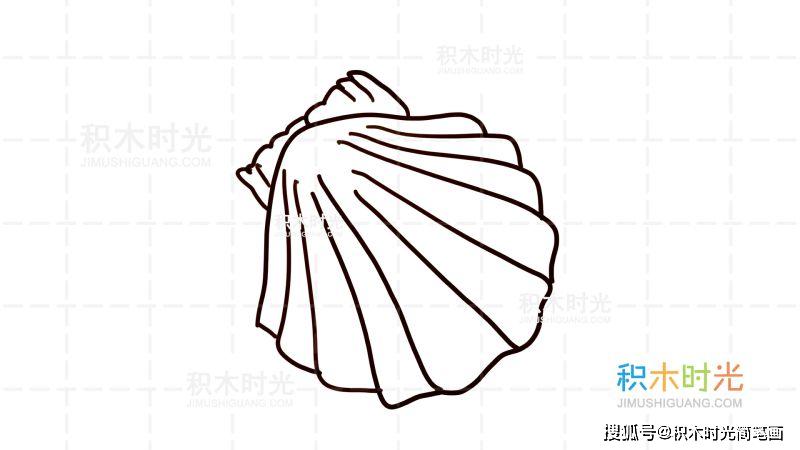 物简笔画图片大全,画贝壳简笔画,线稿和上色大全