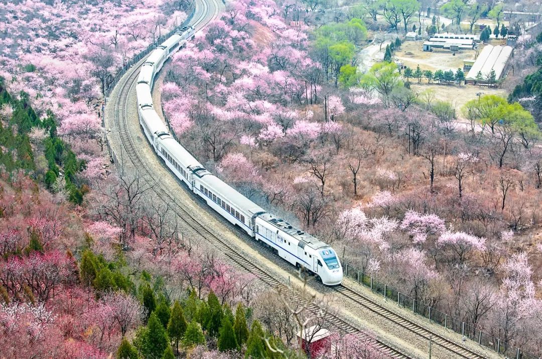 明年再约居庸关花海栈道封闭管理千万别白跑啦