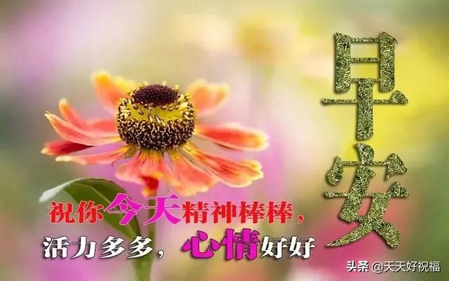 3月21日,送你花开富贵图,祝你平安富贵又吉祥