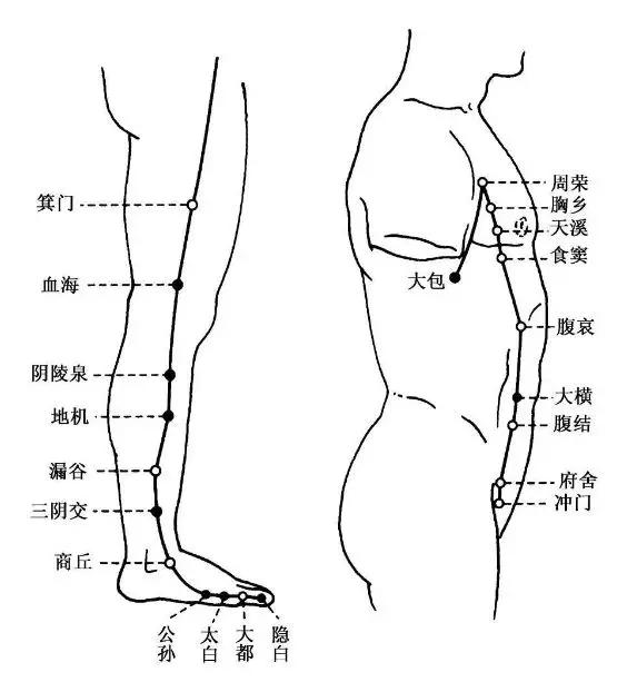 足太阴脾经足阳明胃经注意事项(1)失眠常见于神经衰弱,但某些器质性