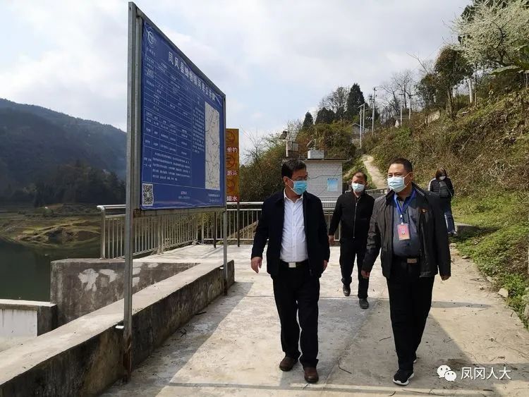 县区动态丨凤冈县人大常委会主任柯小勇到蜂岩镇巡河