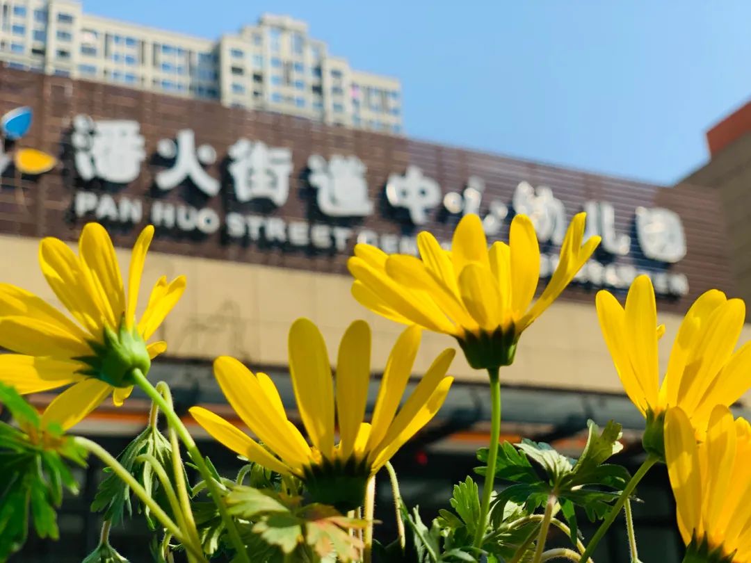 树是怎么长高 d58224146c064e89bf56141dbdcfdb4c.jpeg