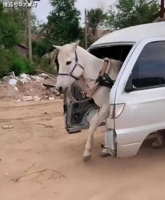 新提的宝马车,是真正的宝马,不信你来看