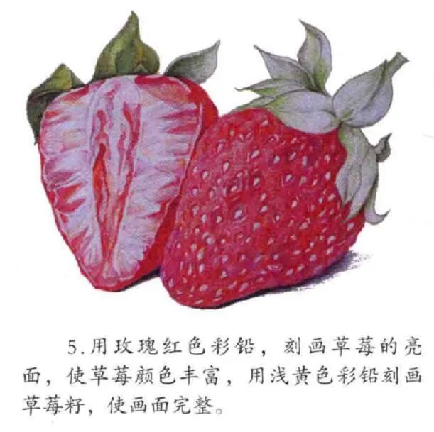 教大家如何彩铅画水果