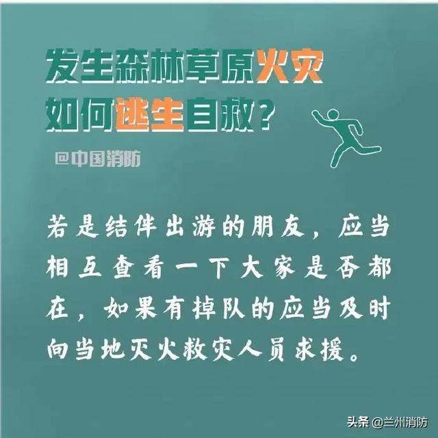 发生森林火灾怎么办