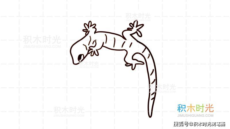 物简笔画图片大全画壁虎简笔画线稿和上色大全