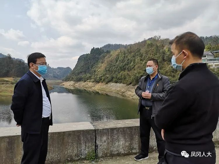 县区动态丨凤冈县人大常委会主任柯小勇到蜂岩镇巡河