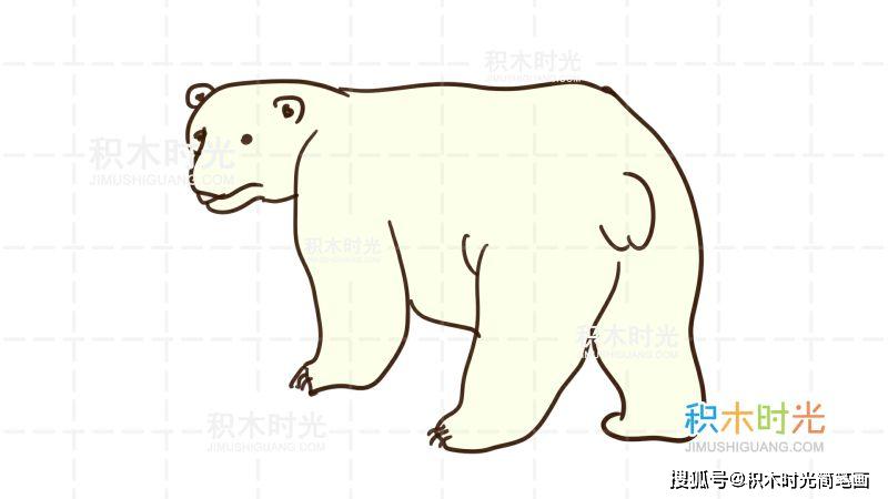 物简笔画图片大全,画北极熊简笔画线稿和上色大全