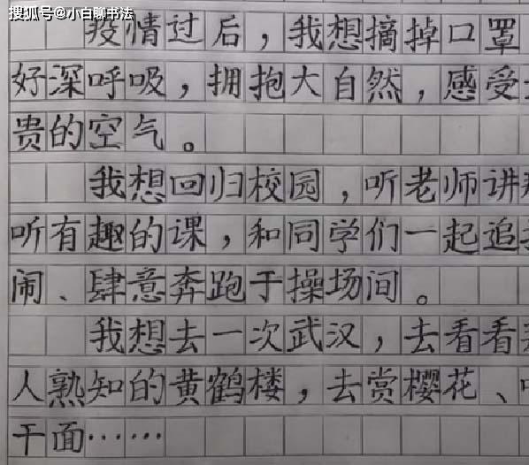 原创二年级小朋友日记,不仅有逻辑性,而且书写严谨规范,获老师盛赞