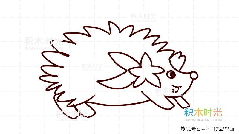 物简笔画图片大全,画刺猬简笔画