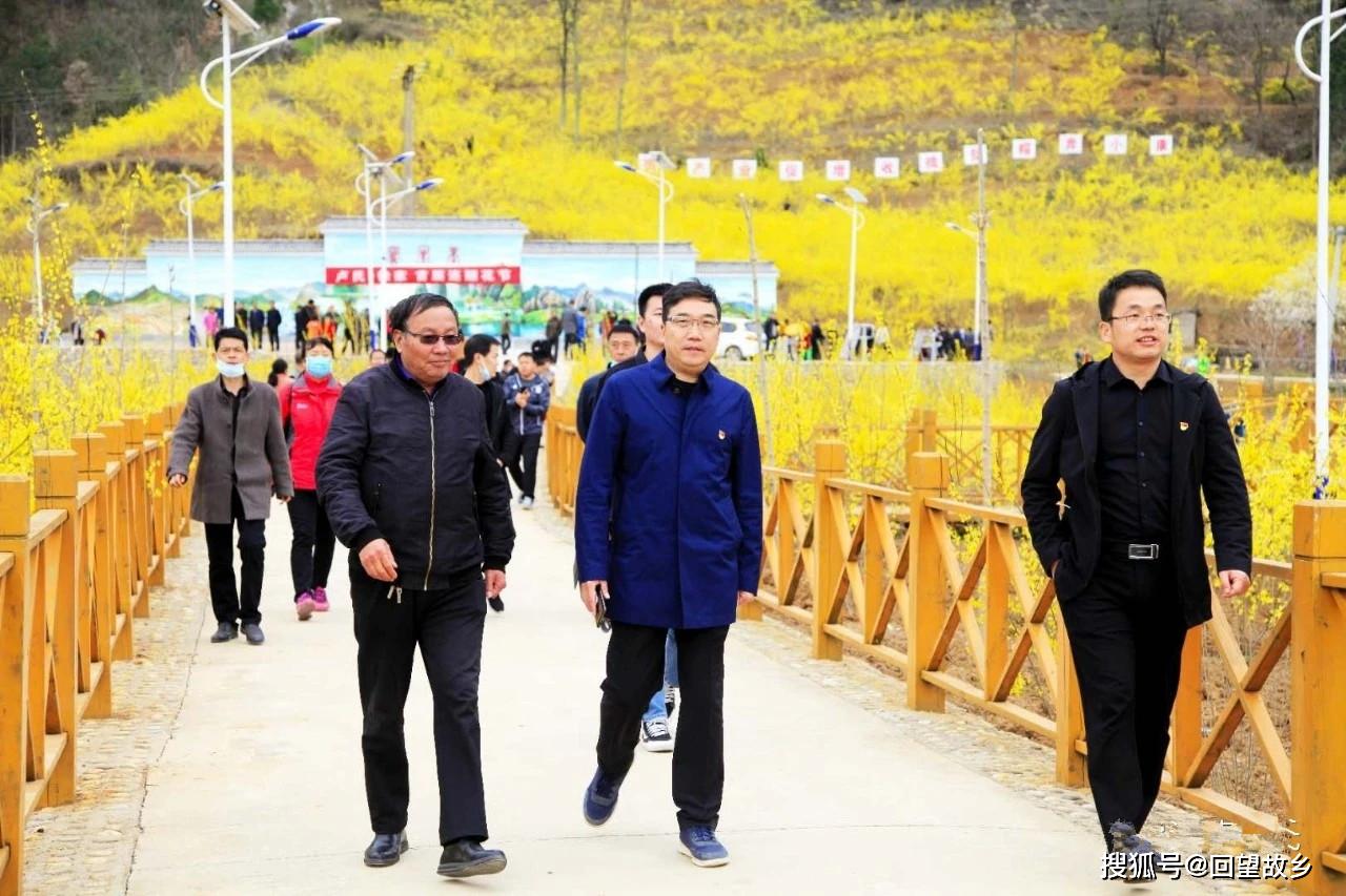 徐家湾乡举行卢氏徐家首届连翘花节