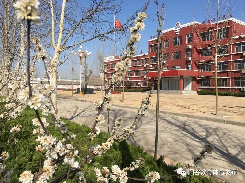 阳谷人快来看这就是你们想念的
