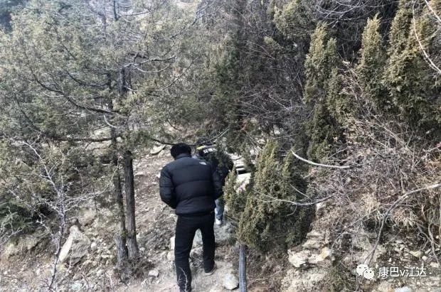 岩比乡人口_新加坡人口结构占比图