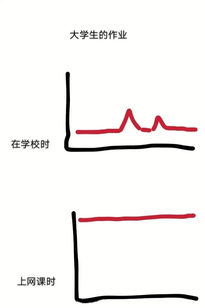 老师收到了一份特别的作业，是学生写在水泥地上的