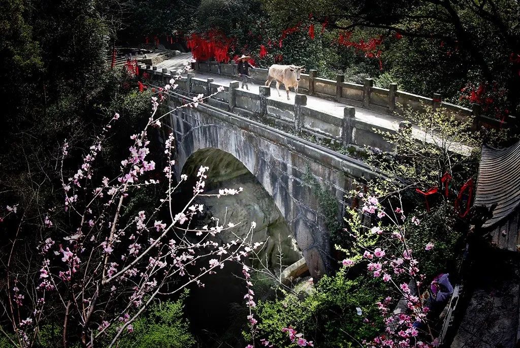 《千年古桥—庐山观音桥》宋小勇 摄《千年学府—白鹿洞书院》宋小勇