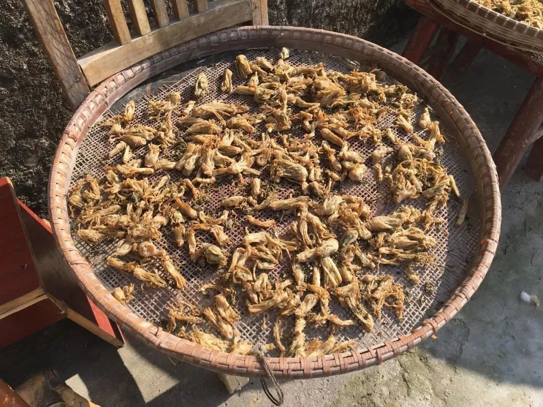 干菜■竟站在缸上...?要火！诸暨一宝宝