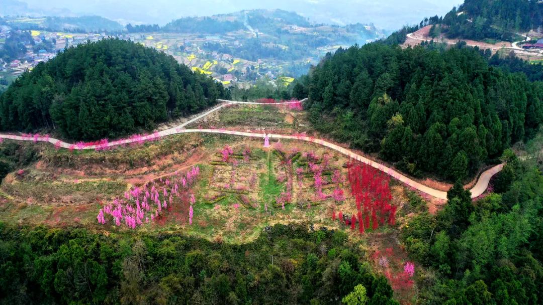 头条鸟瞰苍溪烟雨迷蒙黄猫垭乡村原野有桃花