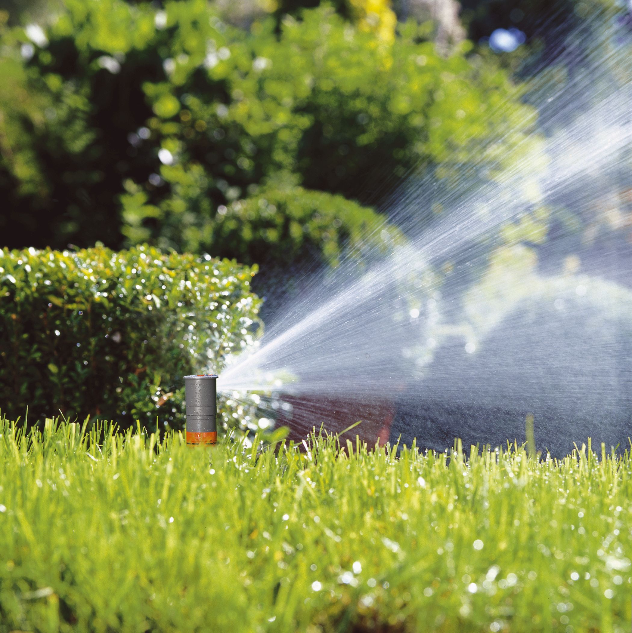 珍惜水源 人人有责任 每一座花园请节水灌溉