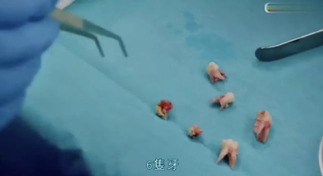 『做法』如何让孩子乖乖配合刷牙?这位妈妈的做法我要夸爆!(内含福利)