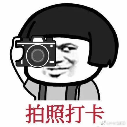 你不"孤单",有我早安,快来打卡!