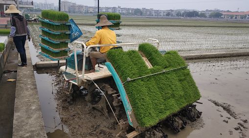 人口啼疫_抗疫医护人员图片