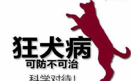 实际上这是谣言,不准确的.狂犬病潜伏期一般为1个月至1年.