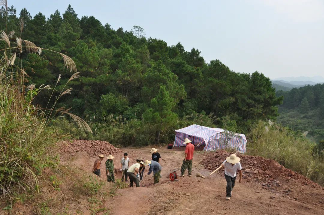 扶绥中国上龙,何氏六榜龙,大石南宁龙,广西大塘龙,右江清秀龙,另有已