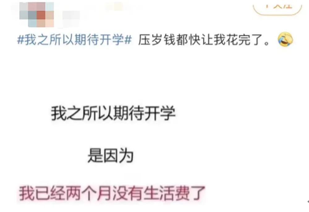 成语言什么什么一_语言暴力图片